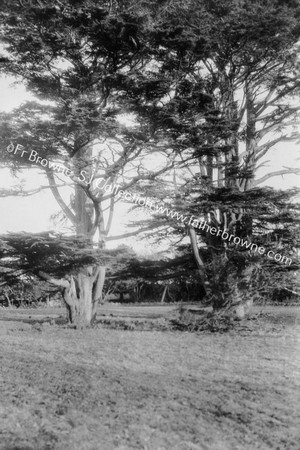 GLENCAIRN PRIORY IN THE CEMETERY